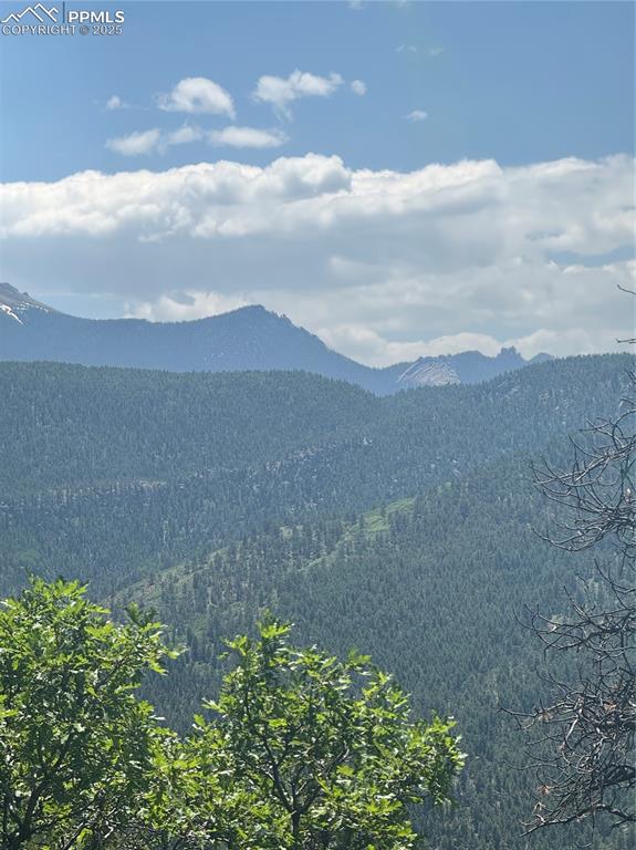 Image 8 of 21: Mountain view featuring a forest