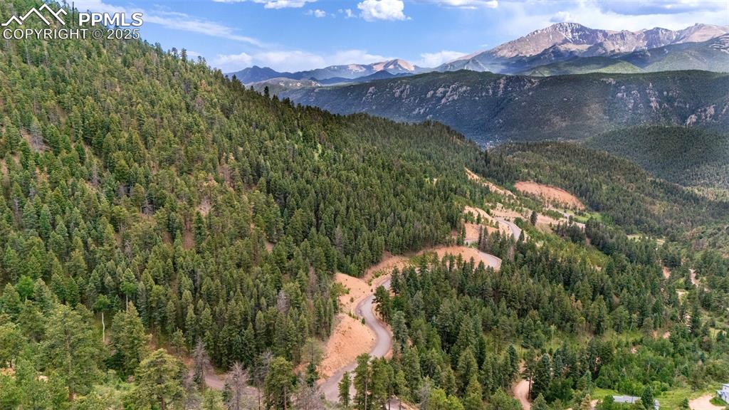 Image 9 of 21: Mountain view featuring a forest