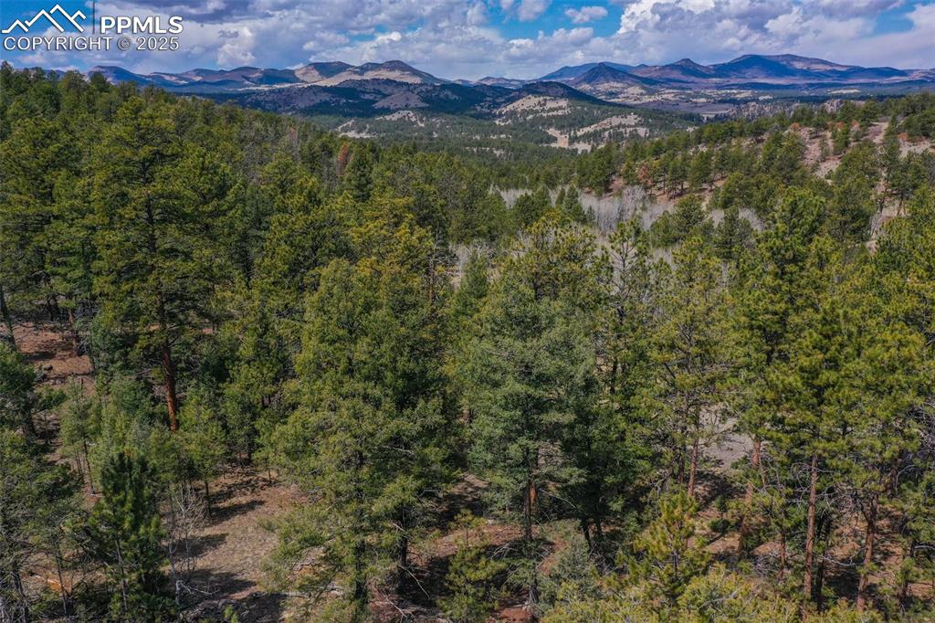 Image 15 of 40: View
