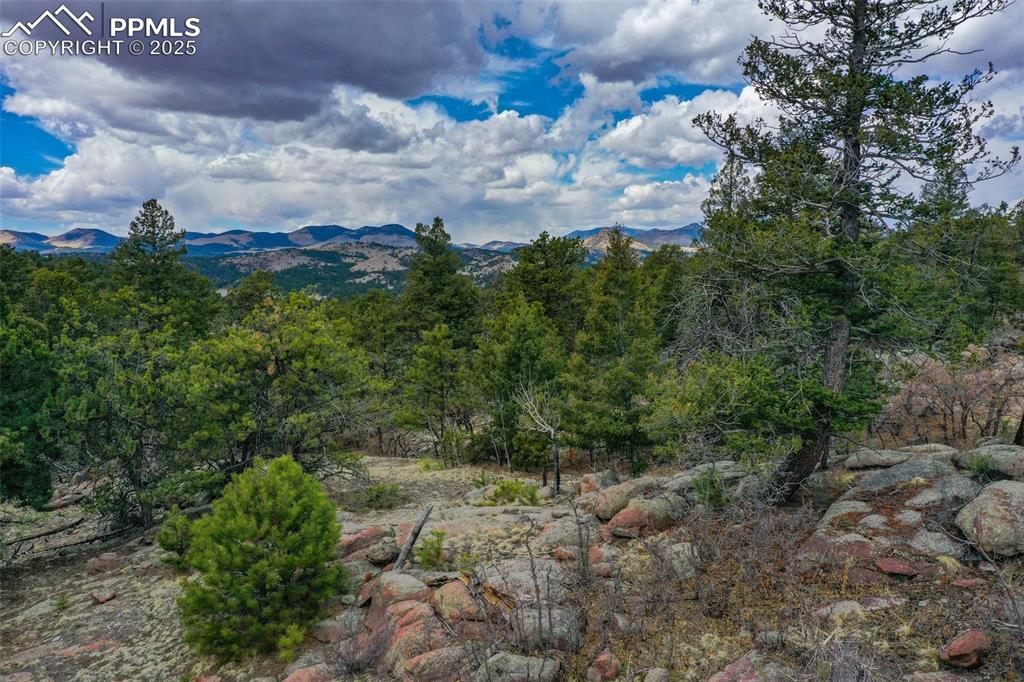 Image 9 of 40: View