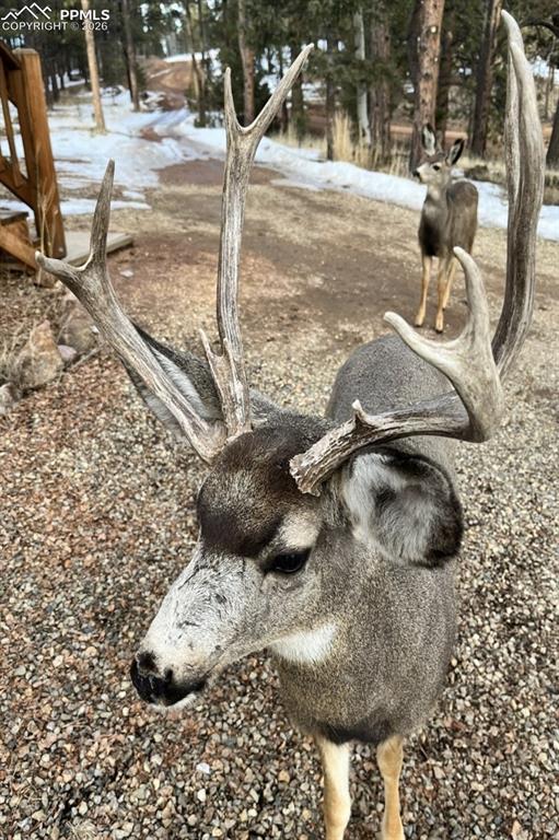 Image 34 of 35: 4 of 4 Storage Buildings