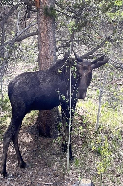 Image 35 of 35: Neighbors