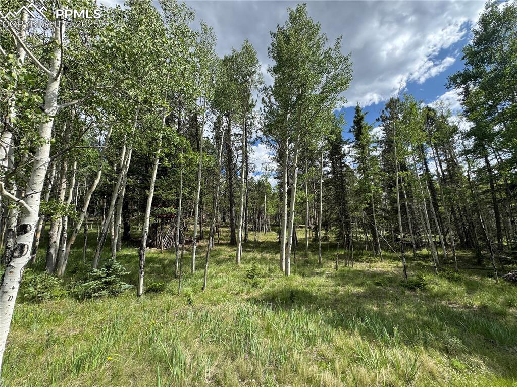 Image 4 of 10: View of undeveloped land