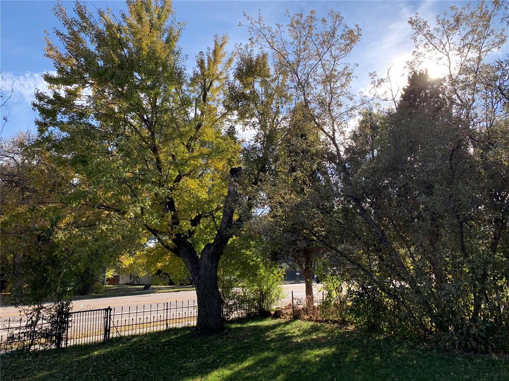 Image 3 of 46: View of yard