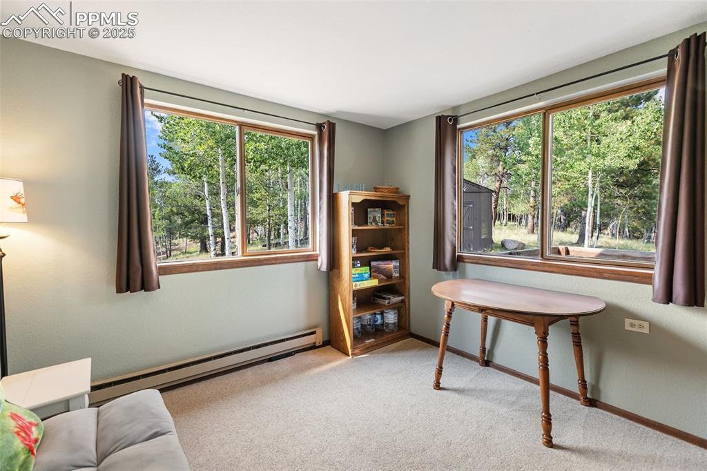 Image 16 of 50: Main Level Bedroom featuring light colored carpet and a baseboard radiator