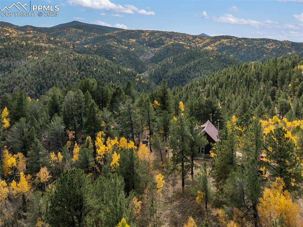 Image 36 of 50: View