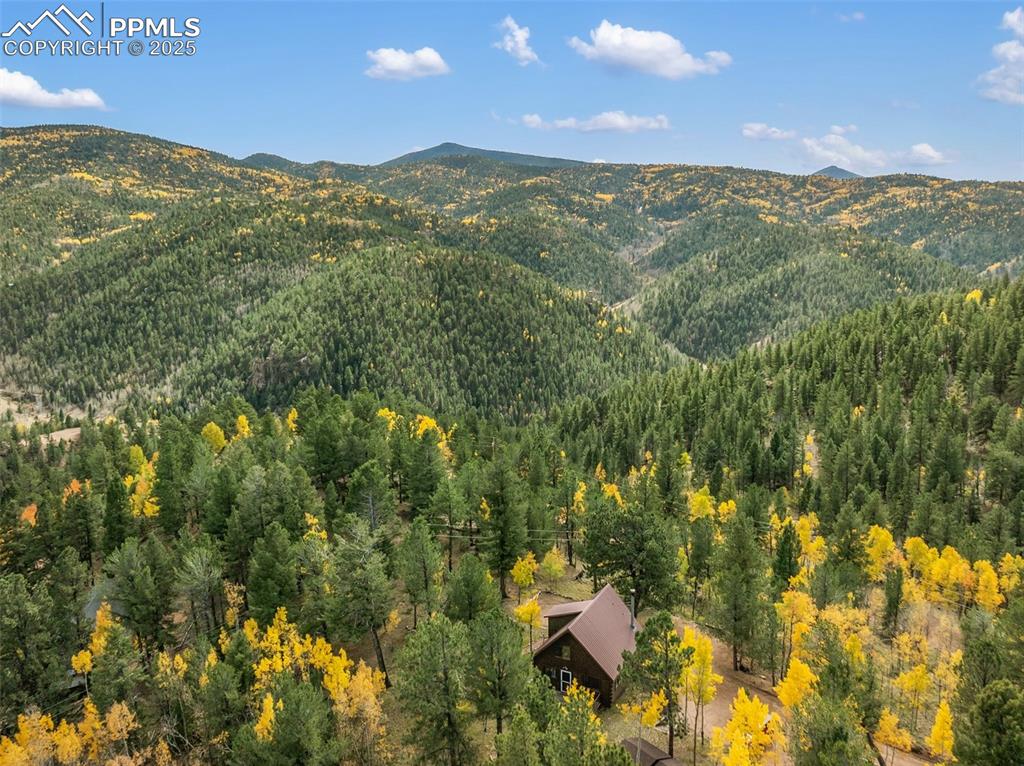 Image 38 of 50: View