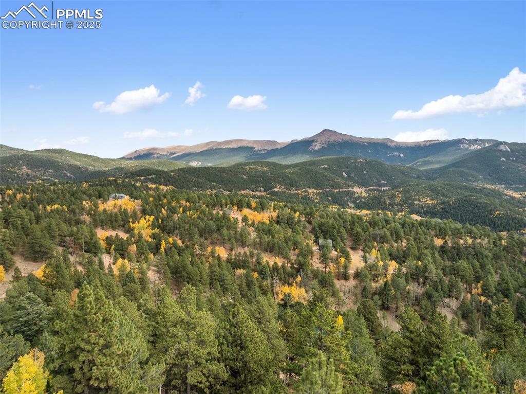 Image 40 of 50: View