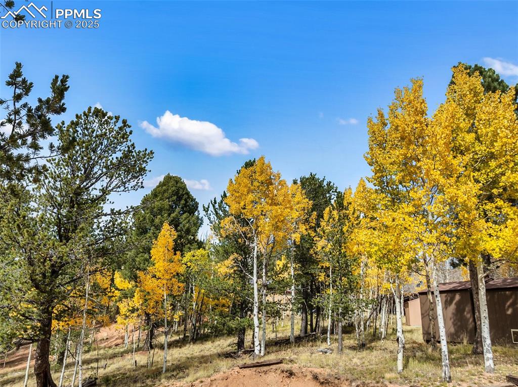 Image 41 of 50: Other