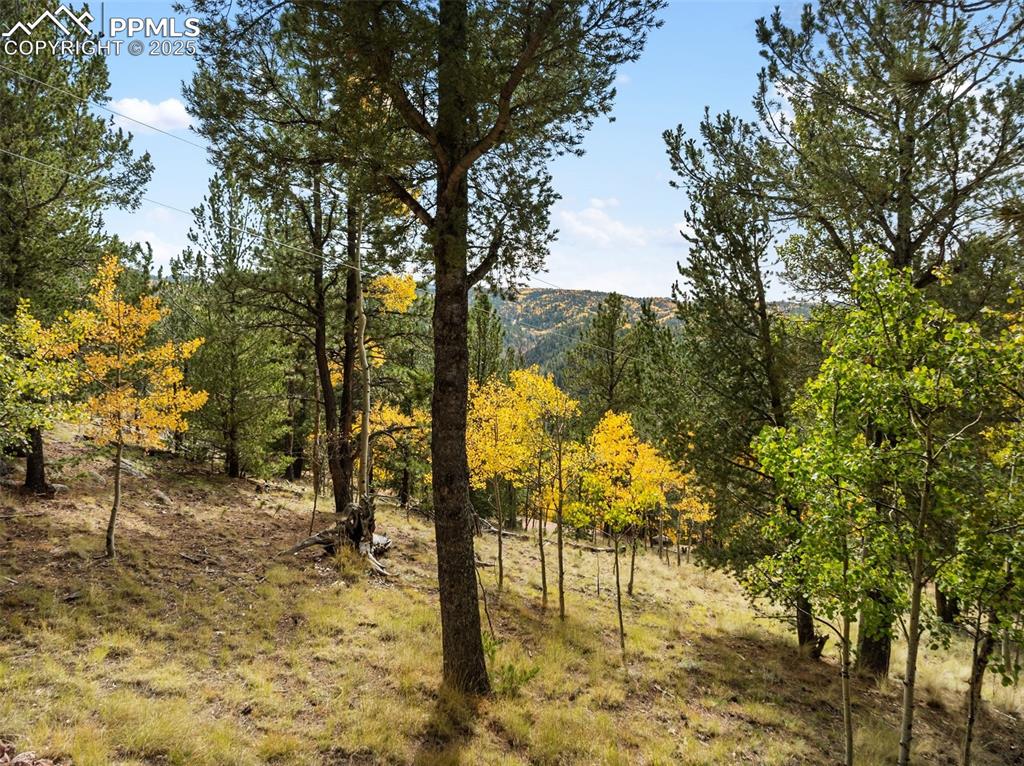 Image 42 of 50: Other