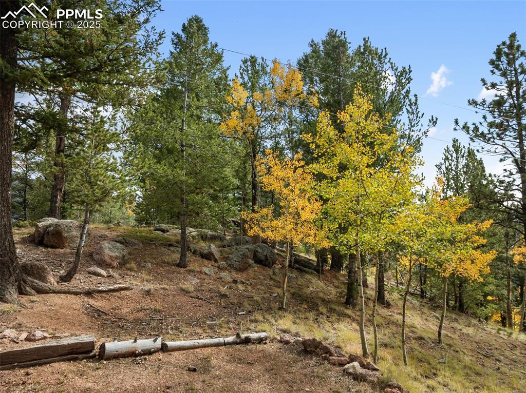 Image 43 of 50: Yard