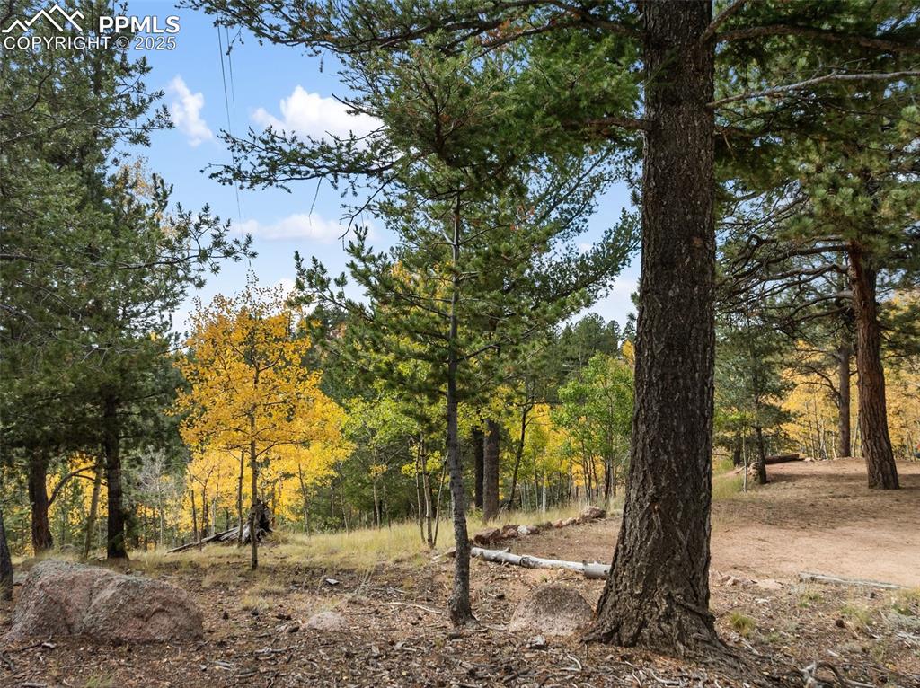 Image 44 of 50: Other