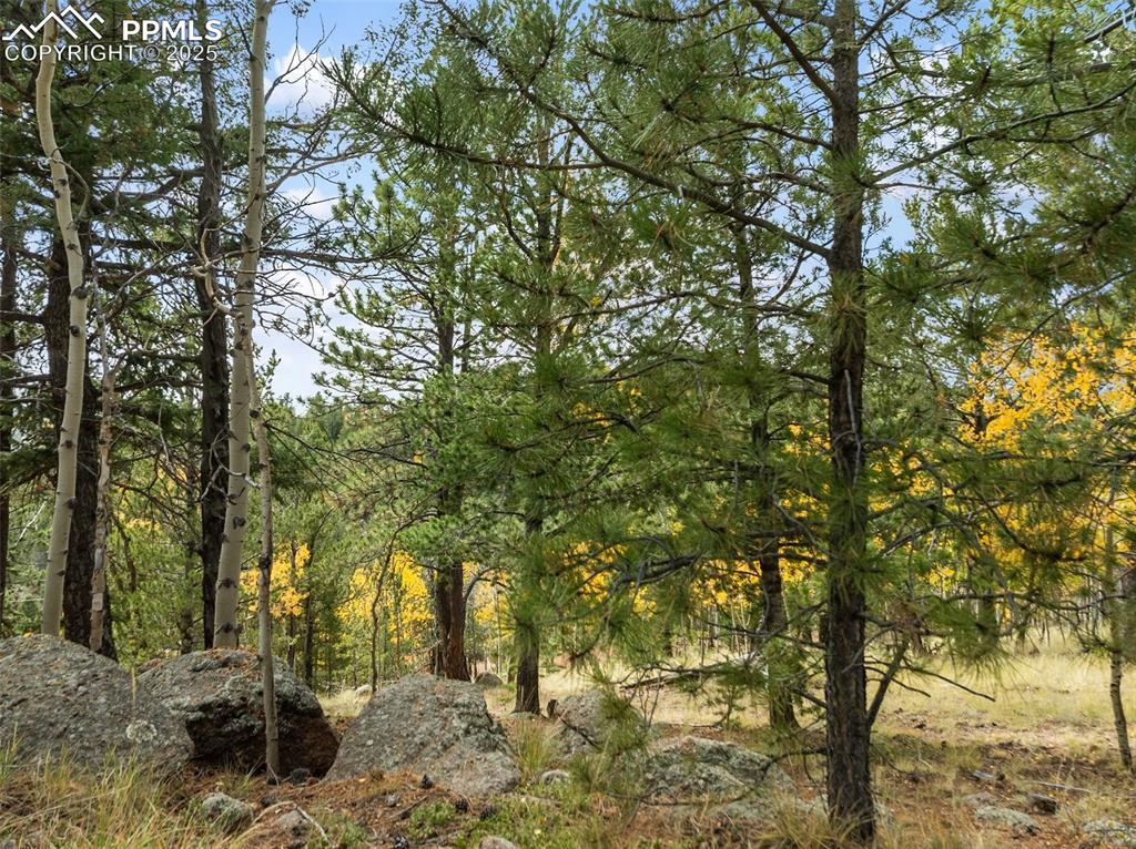 Image 45 of 50: Other