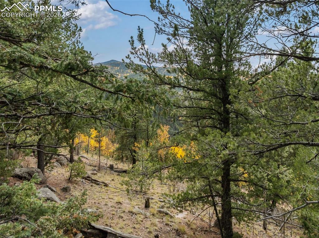 Image 46 of 50: Other