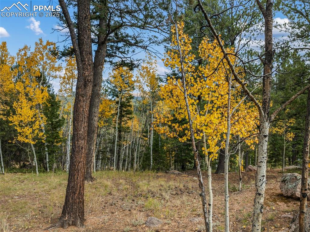 Image 47 of 50: Other