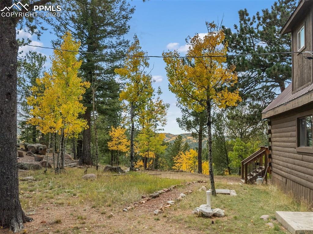 Image 48 of 50: Yard