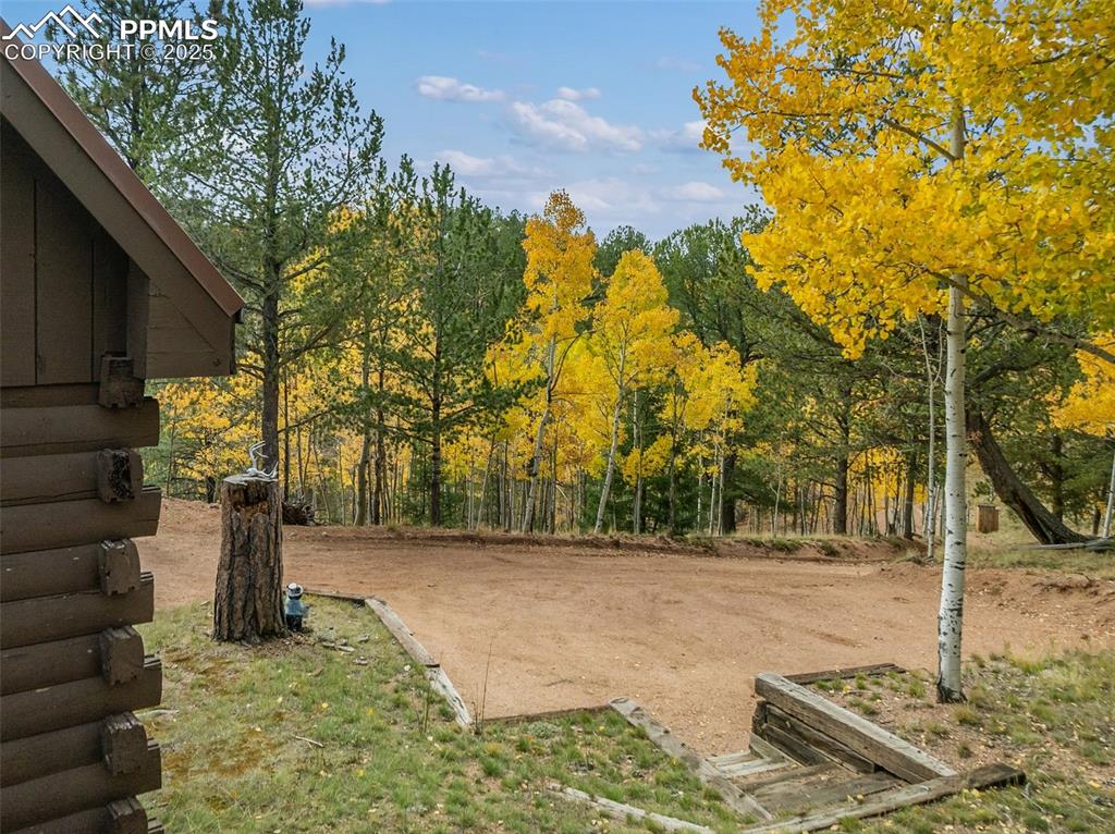 Image 49 of 50: Community