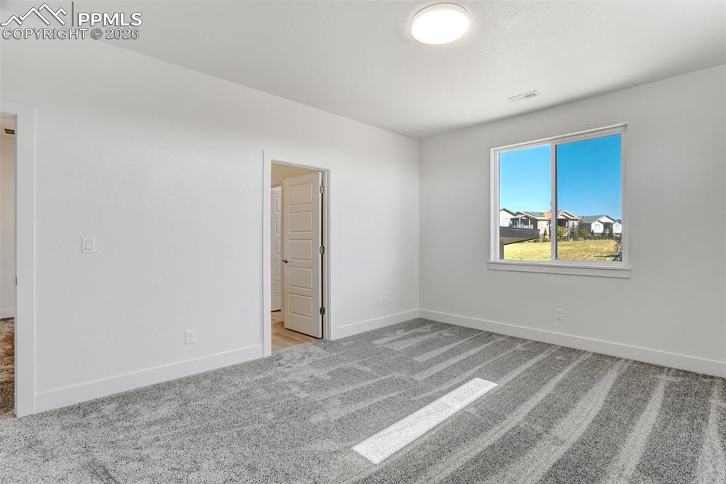 Image 32 of 50: Other