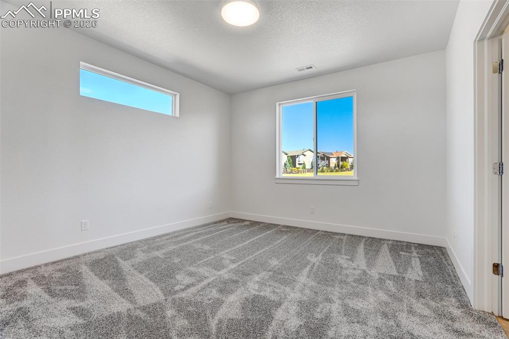 Image 38 of 50: Other