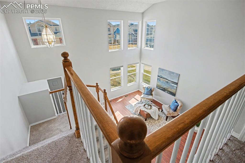 Image 17 of 37: Other