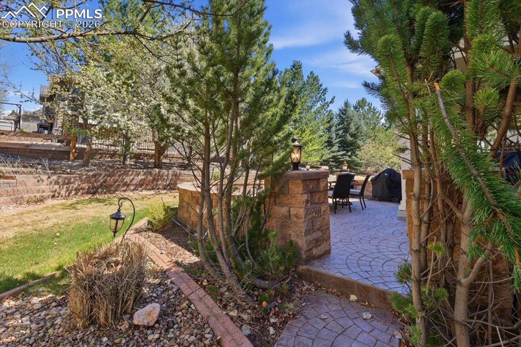 Image 42 of 46: Yard