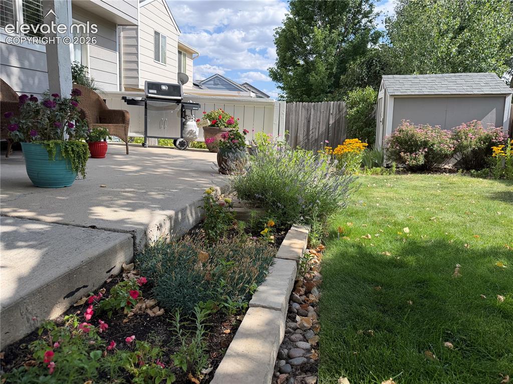 Image 40 of 47: Established perennial flower garden with beautiful daisy, lilac, hydrangea,