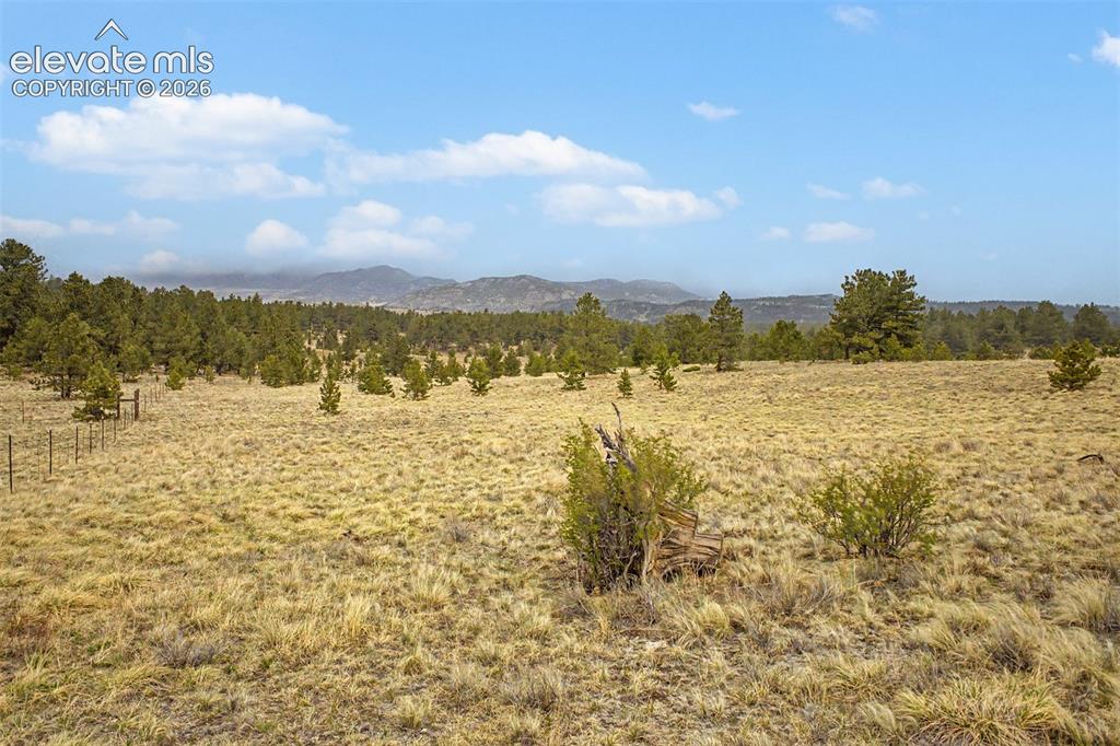 Image 14 of 36: View