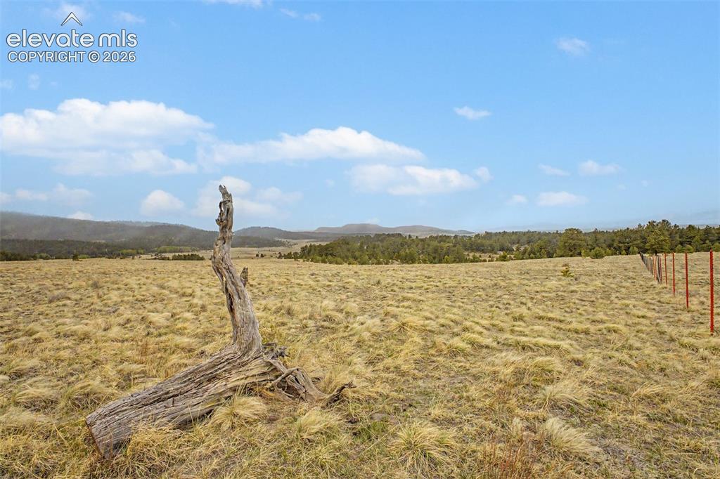 Image 6 of 36: View