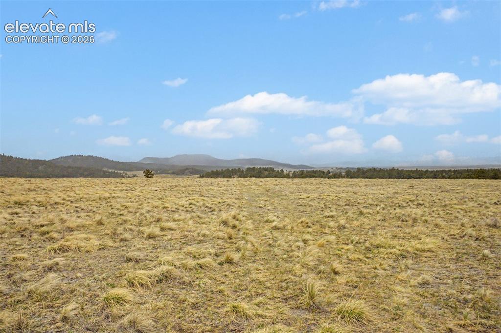 Image 8 of 36: View