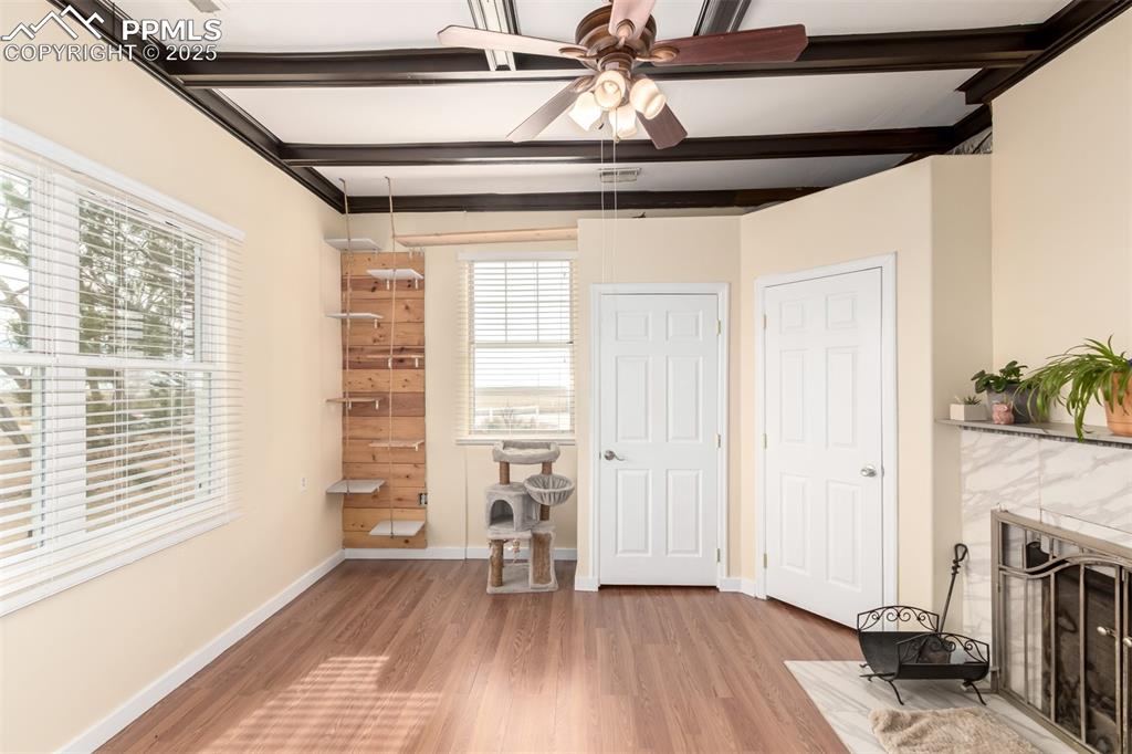 Image 17 of 41: Other