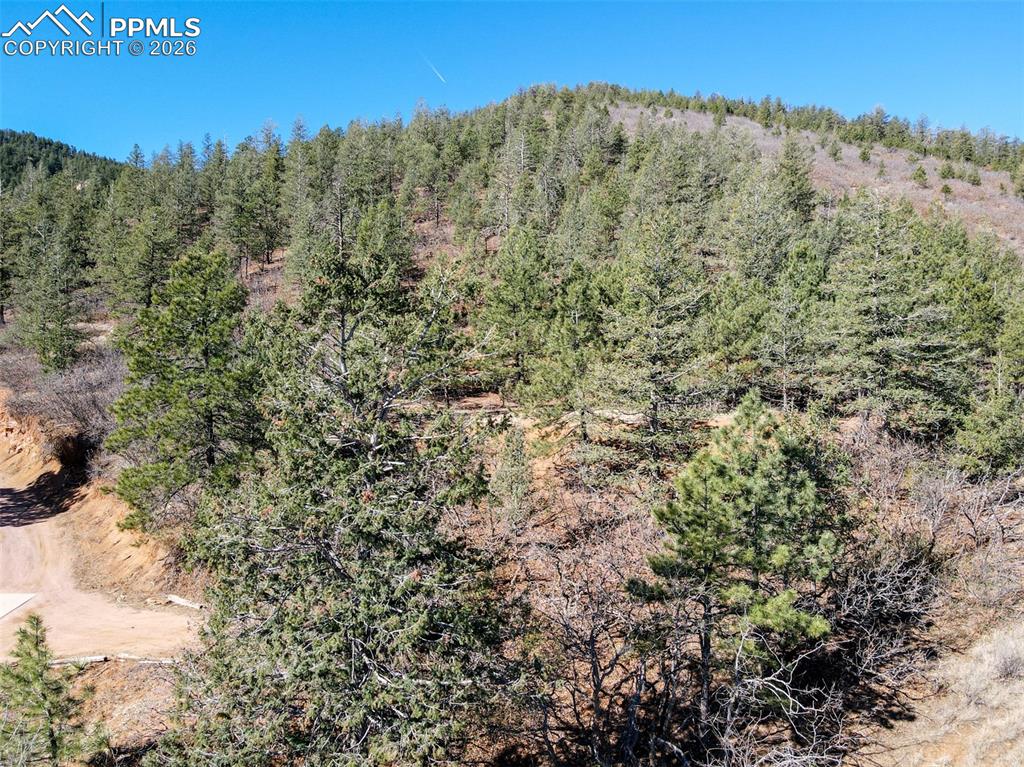 Image 11 of 12: View