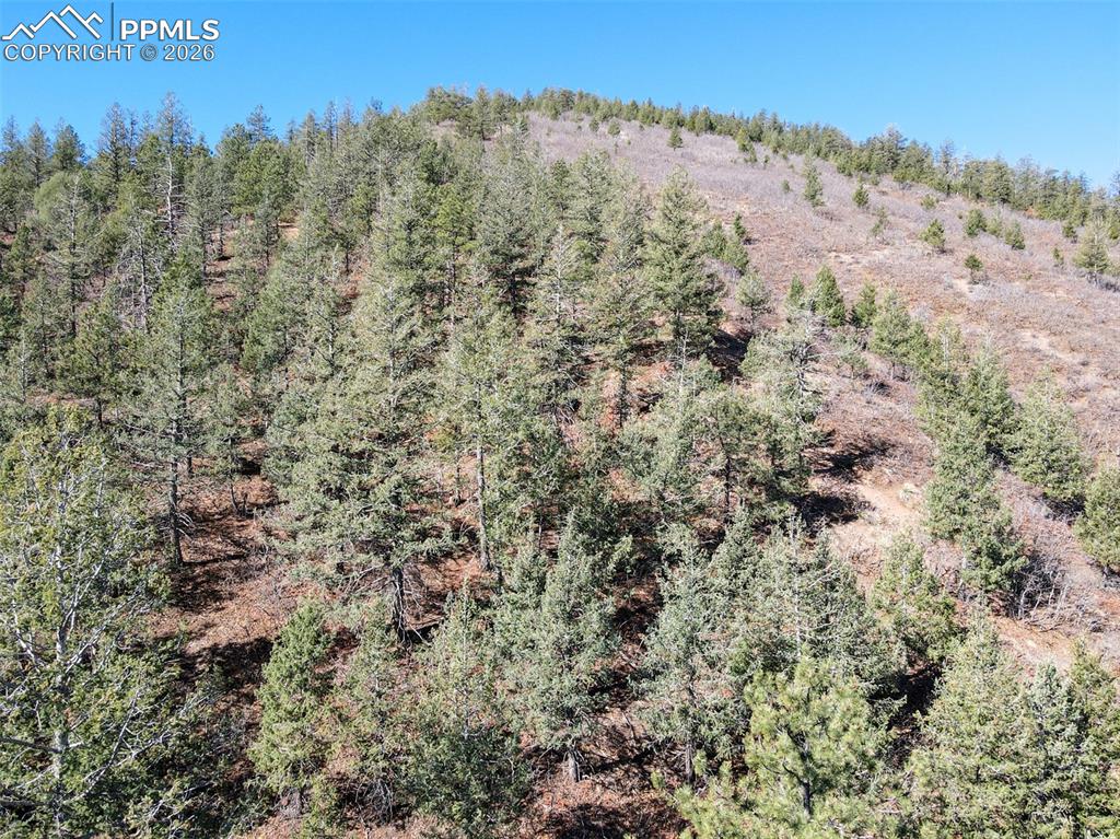 Image 3 of 12: Aerial View