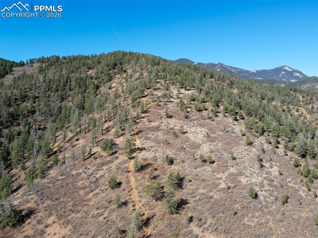 Image 6 of 12: trail