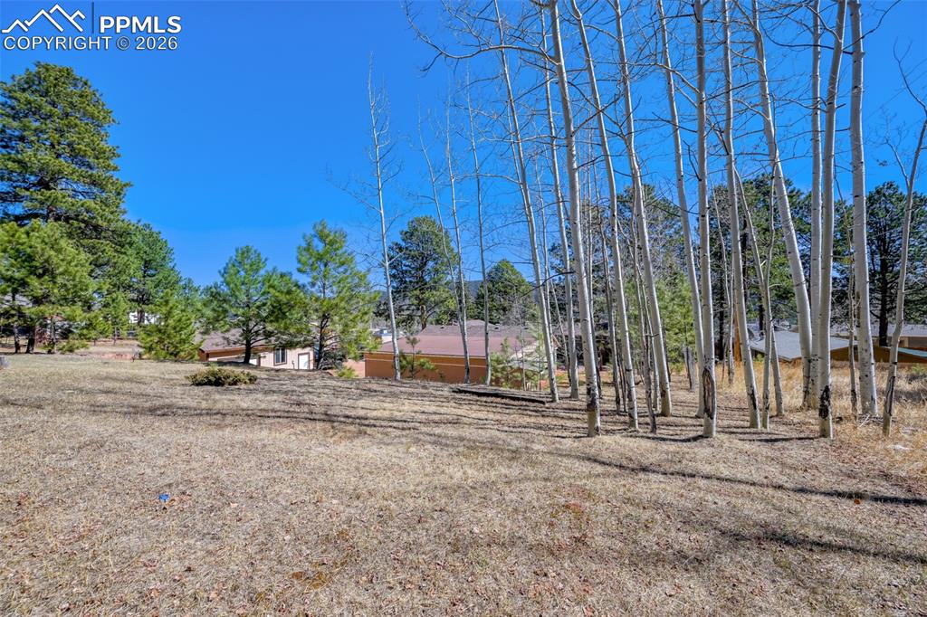 Image 25 of 28: Yard