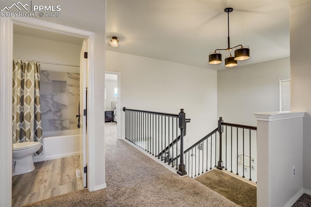 Image 27 of 47: Other