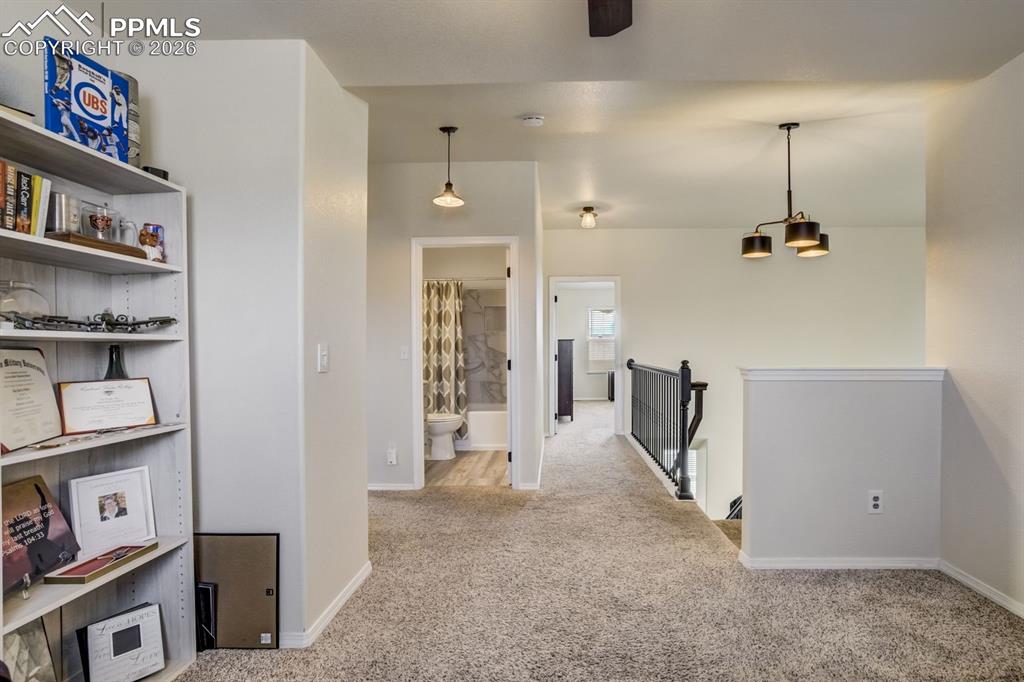 Image 33 of 47: Other