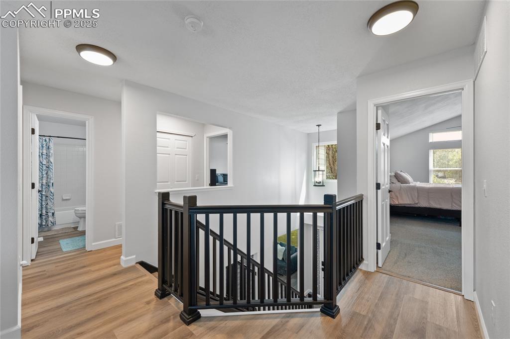 Image 22 of 50: Other