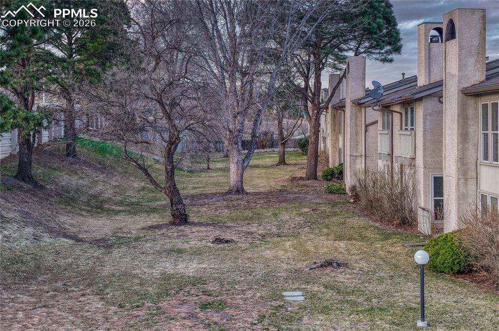 Image 41 of 50: This is your backyard area 