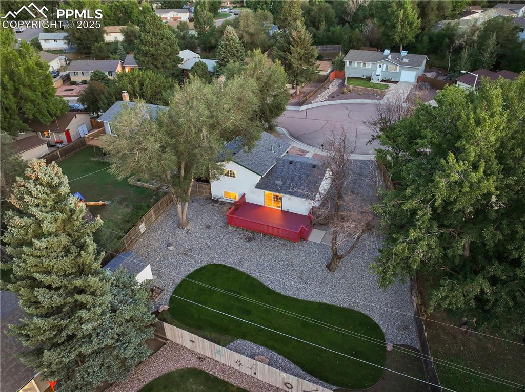 Image 32 of 32: Bird