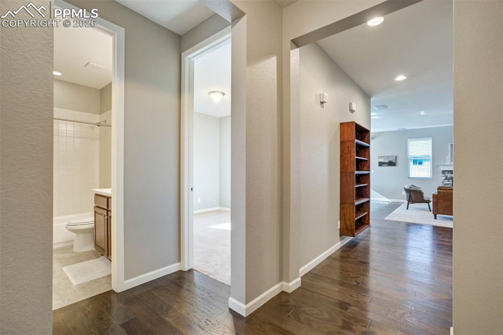 Image 23 of 50: Other