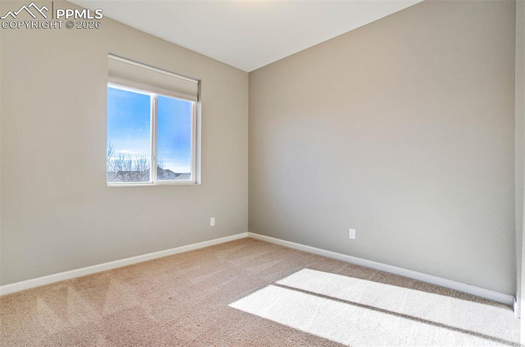 Image 25 of 50: Other