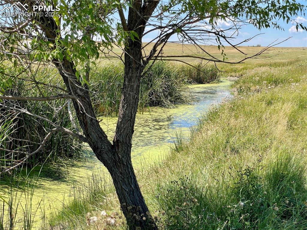 Image 19 of 42: View