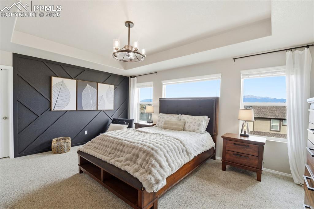 Image 3 of 48: Bedroom featuring a raised ceiling, light colored carpet, and suspended lig