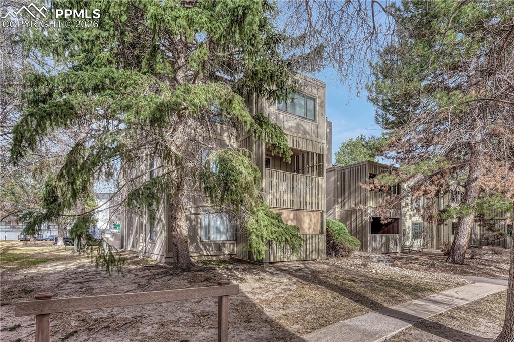 Image 39 of 43: Back of Structure