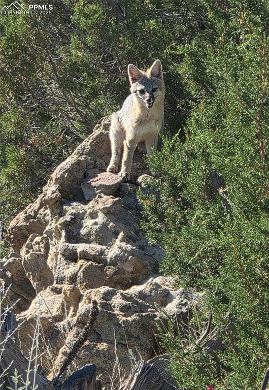 Image 40 of 42: Exterior view