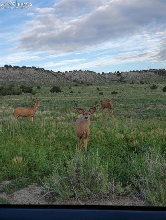 Image 42 of 42: View of mountain backdrop featuring rural landscape