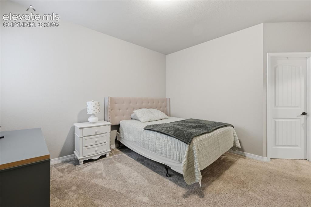 Image 27 of 33: Third bedroom in the basement with walk in closet!