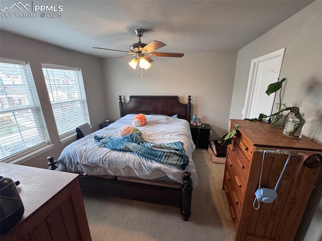 Image 26 of 31: Primary Bedroom with Walk-in Closet