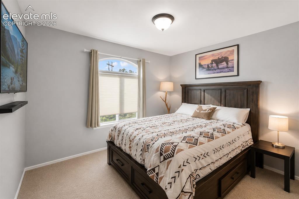 Image 10 of 20: Bedroom featuring light gray wall paint, neutral carpeting, and a semi-flus