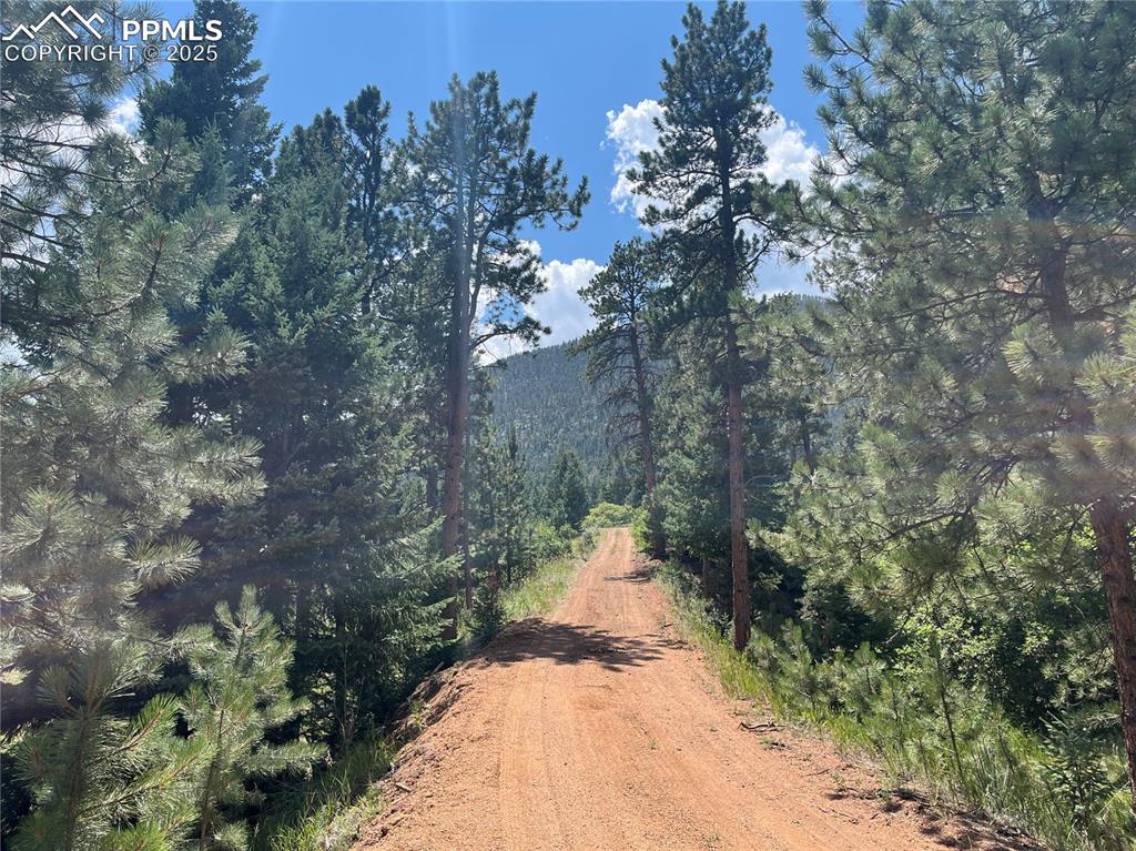 Image 11 of 49: View